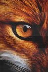 Through the Eye - Fox (image for) Through the Eye - Fox